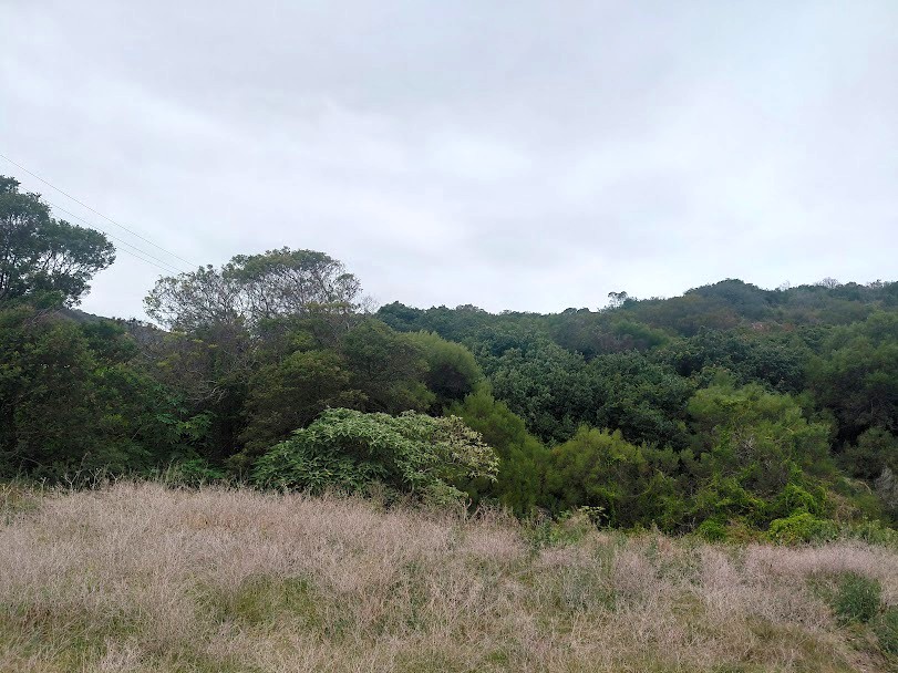 Commercial Property for Sale in Die Eiland Western Cape